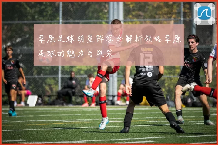 草原足球明星阵容全解析领略草原足球的魅力与风采