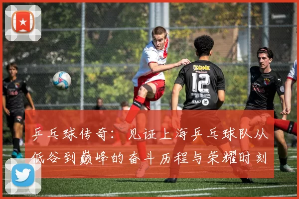 乒乓球传奇：见证上海乒乓球队从低谷到巅峰的奋斗历程与荣耀时刻