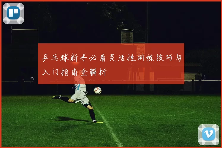 乒乓球新手必看灵活性训练技巧与入门指南全解析