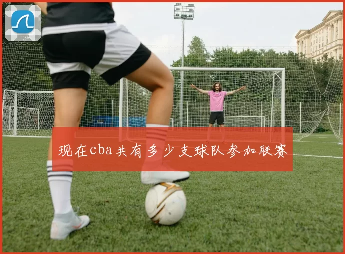 现在cba共有多少支球队参加联赛