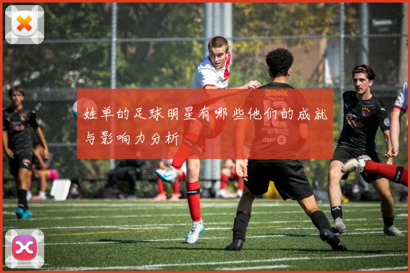 姓单的足球明星有哪些他们的成就与影响力分析