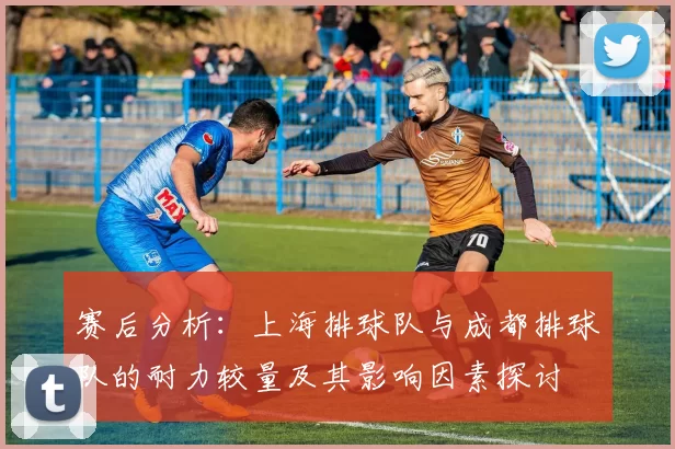 赛后分析：上海排球队与成都排球队的耐力较量及其影响因素探讨