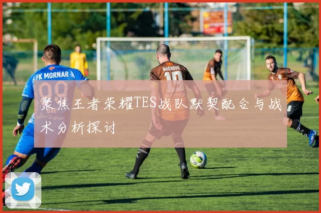 聚焦王者荣耀TES战队默契配合与战术分析探讨