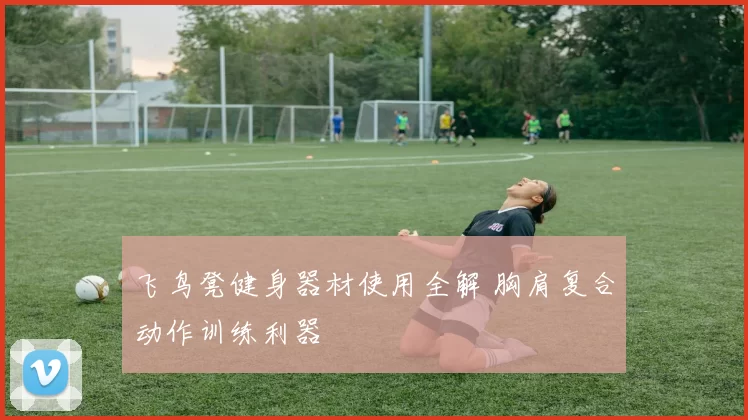 飞鸟凳健身器材使用全解 胸肩复合动作训练利器