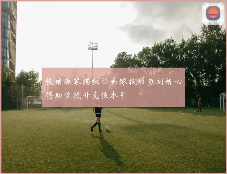 张丽独家揭秘羽毛球技巧与训练心得助你提升竞技水平