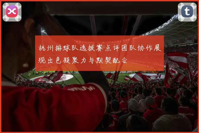 杭州排球队选拔赛点评团队协作展现出色凝聚力与默契配合