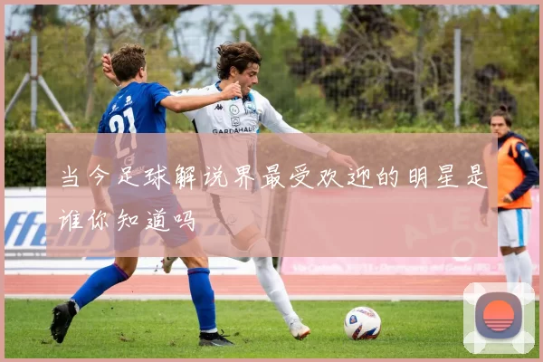 当今足球解说界最受欢迎的明星是谁你知道吗