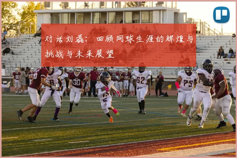 对话刘磊：回顾网球生涯的辉煌与挑战与未来展望