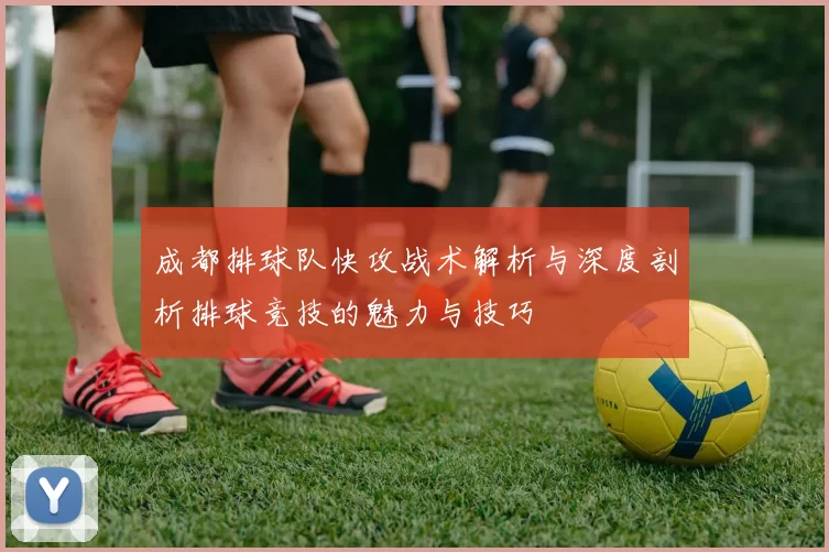 成都排球队快攻战术解析与深度剖析排球竞技的魅力与技巧