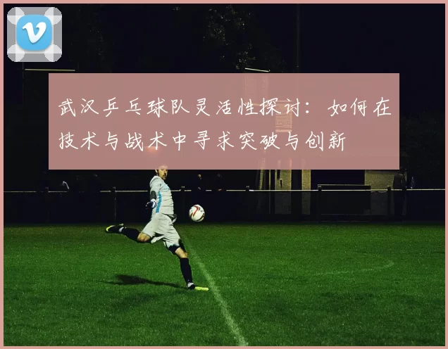 武汉乒乓球队灵活性探讨：如何在技术与战术中寻求突破与创新