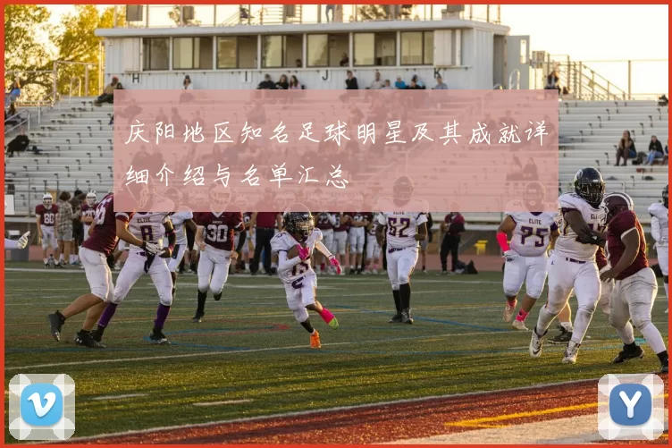庆阳地区知名足球明星及其成就详细介绍与名单汇总