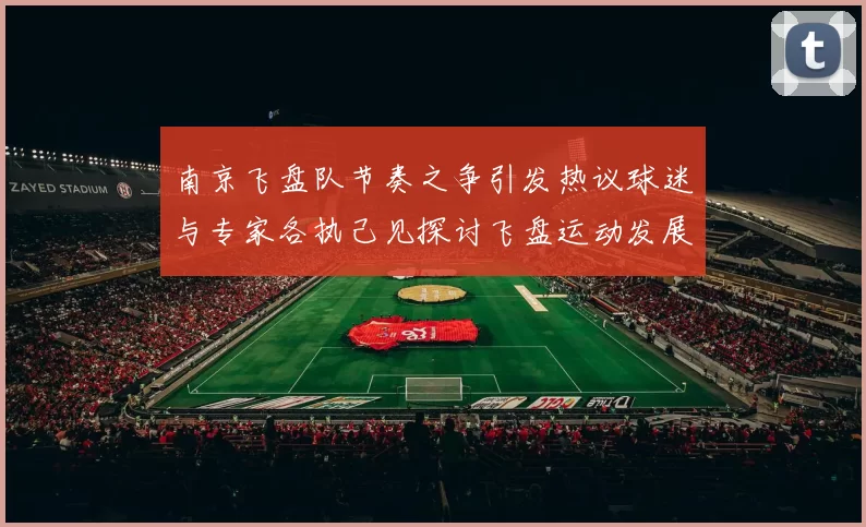 南京飞盘队节奏之争引发热议球迷与专家各执己见探讨飞盘运动发展