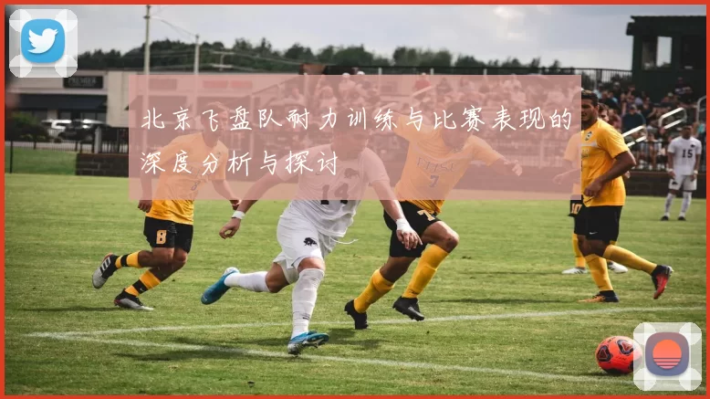 北京飞盘队耐力训练与比赛表现的深度分析与探讨