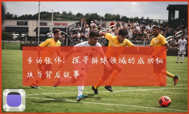 专访张伟：探寻排球领域的成功秘诀与背后故事