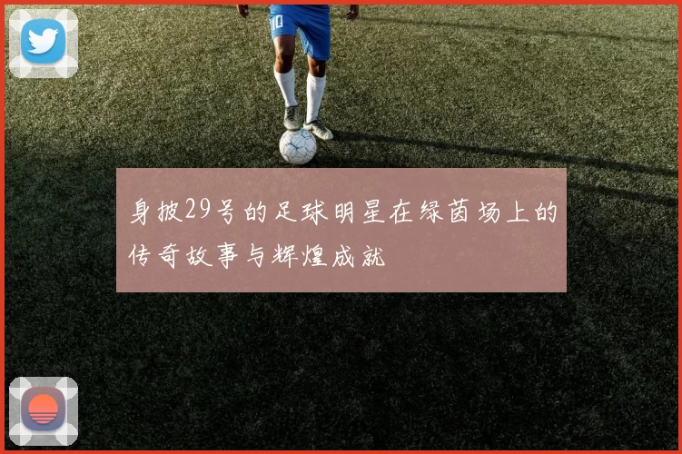 身披29号的足球明星在绿茵场上的传奇故事与辉煌成就