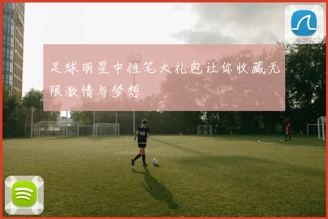 足球明星中性笔大礼包让你收藏无限激情与梦想
