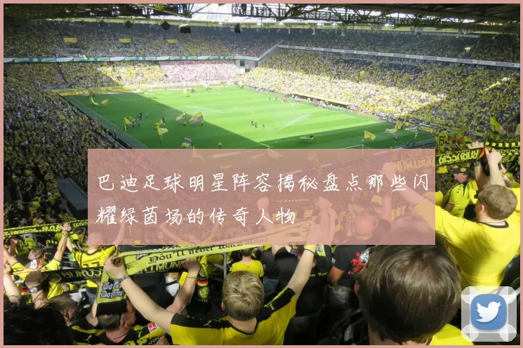 巴迪足球明星阵容揭秘盘点那些闪耀绿茵场的传奇人物