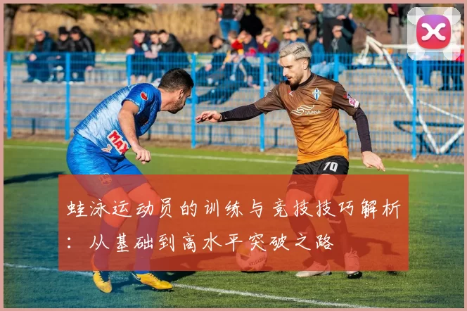 蛙泳运动员的训练与竞技技巧解析：从基础到高水平突破之路