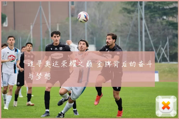 追寻奥运荣耀之巅 金牌背后的奋斗与梦想