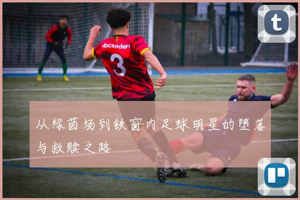 从绿茵场到铁窗内足球明星的堕落与救赎之路